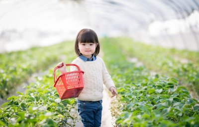 孩子没有规则意识，以自我为中心怎么办？