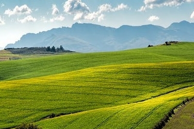 亲子关系的重要性