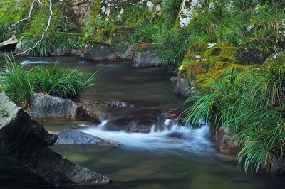 亲子关系在家庭教育中的重要意义？