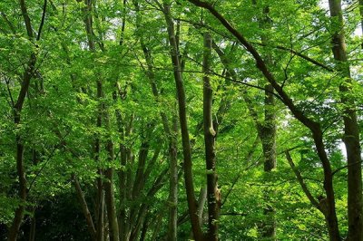 为何说中国缺乏心理咨询师?心理健康教育普及为何不达到重视?