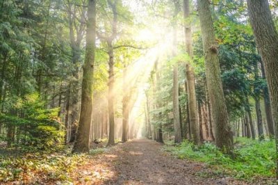 服装行业前景怎么样