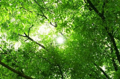 凉拌菜必备的6大配料