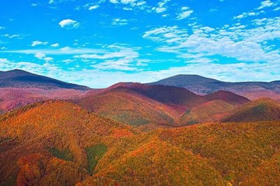 凉拌菜6大方法有哪些