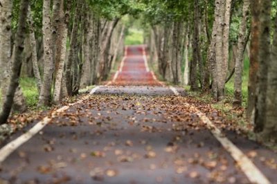 四川火锅必点的配菜有哪些?